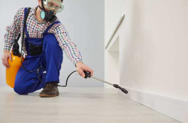 istockphoto 2193273746 612x612 istockphoto 2193273746 612x612